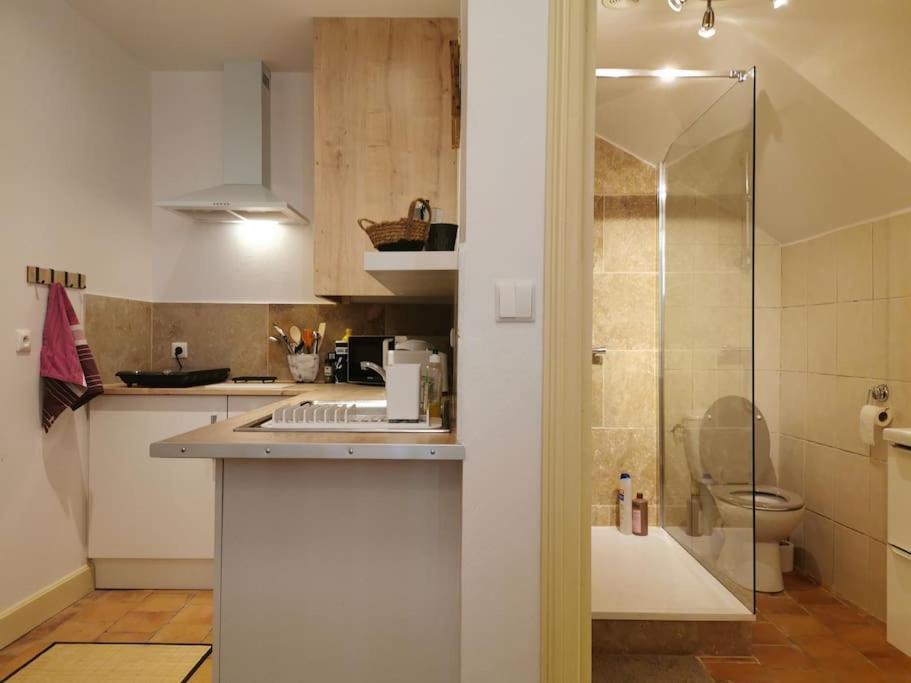 Le Studio 5 Carcassonne Buitenkant foto